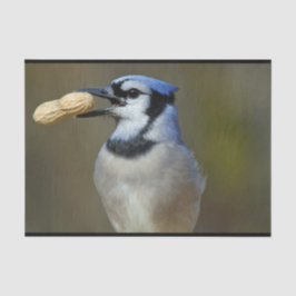 Blue Jay Peanut Tissuepapier