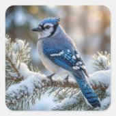 Blue Jay Perched On a Snowy Pine Vierkante Sticker (Voorkant)