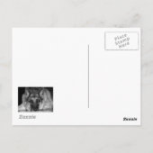 Blue Jay Photo Briefkaart (Achterkant)