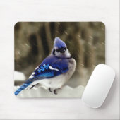 Blue Jay Photo Muismat (Met muis)