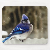 Blue Jay Photo Muismat (Voorkant)