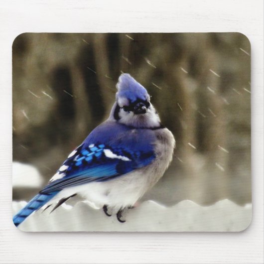 Blue Jay Photo Muismat (Voorkant)
