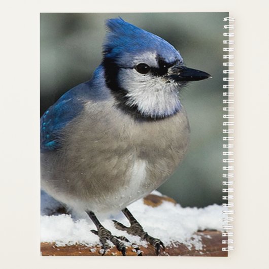 Blue Jay Planner (Achterkant)