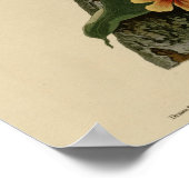 Blue Jay Poster (Hoek)