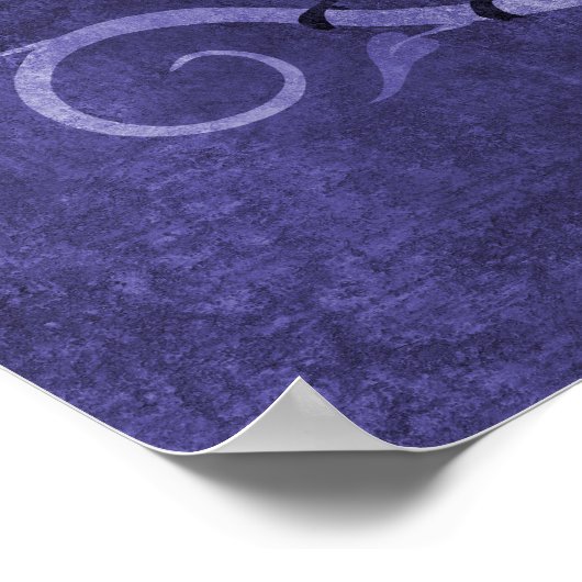 Blue Jay Poster (Hoek)