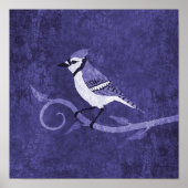 Blue Jay Poster (Voorkant)