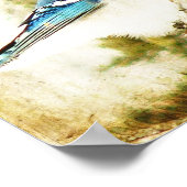 Blue Jay Poster (Hoek)