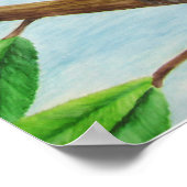 Blue Jay Poster (Hoek)