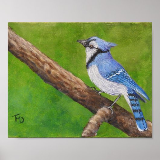 Blue Jay - Poster (Voorkant)