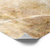 Blue Jay Poster (Hoek)