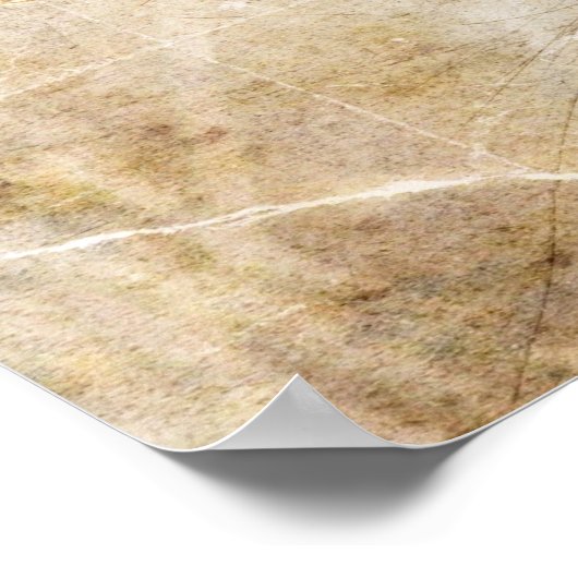 Blue Jay Poster (Hoek)