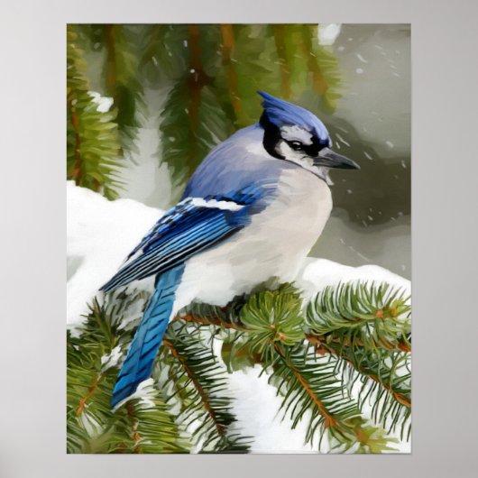 Blue Jay Poster (Voorkant)