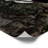 Blue Jay Poster / Print (Hoek)