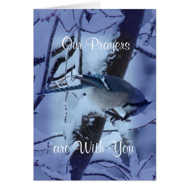 Blue Jay Prayers 7132 - elke keer aanpassen (Voorkant)