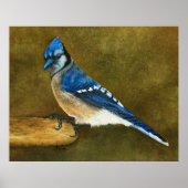 Blue Jay Print (Voorkant)