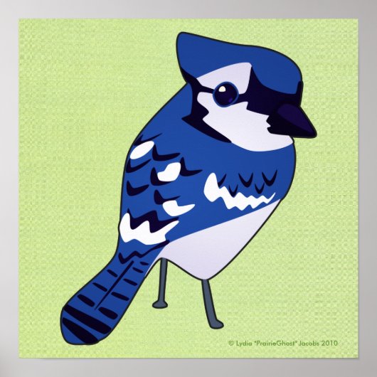 Blue Jay Print (Voorkant)