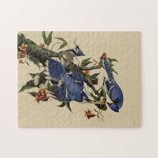 Blue Jay Puzzle Legpuzzel (Horizontaal)