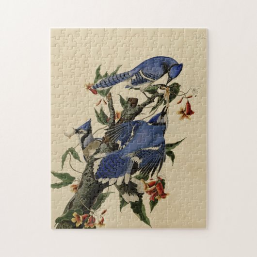  Blue Jay Puzzle Legpuzzel (Verticaal)