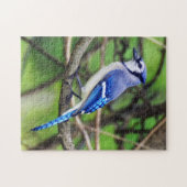 Blue Jay Puzzle Legpuzzel (Horizontaal)