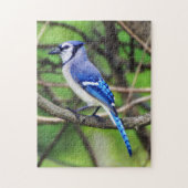 Blue Jay Puzzle Legpuzzel (Verticaal)