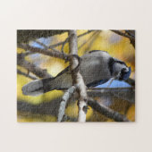 Blue Jay Puzzle Legpuzzel (Horizontaal)