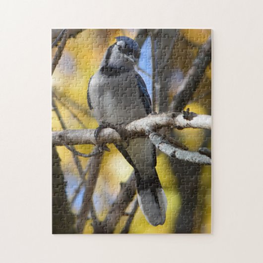 Blue Jay Puzzle Legpuzzel (Verticaal)