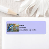 Blue Jay Return-adreslabels Etiket (Insitu)