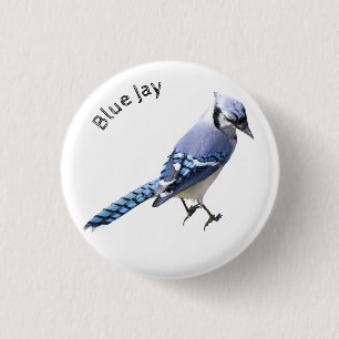 Blue Jay Ronde Button 3,2 Cm