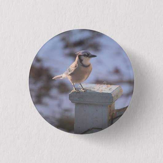 Blue Jay Ronde Button 3,2 Cm (Voorkant)