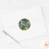 Blue Jay ronde Sticker (Envelop)