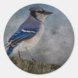 Blue Jay Ronde Sticker