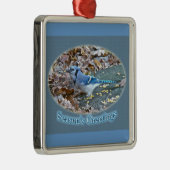 Blue Jay Season's Greetings Ornament (Rechts)