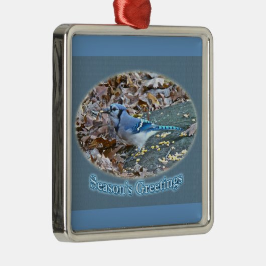 Blue Jay Season's Greetings Ornament (Rechts)