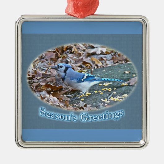 Blue Jay Season's Greetings Ornament (Voorkant)