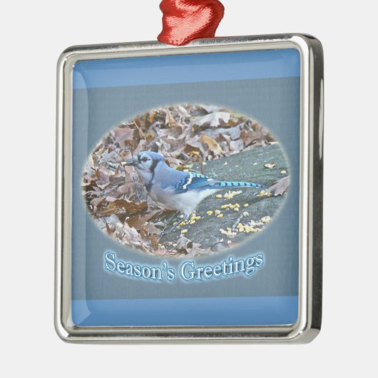 Blue Jay Season's Greetings Ornament (Links)