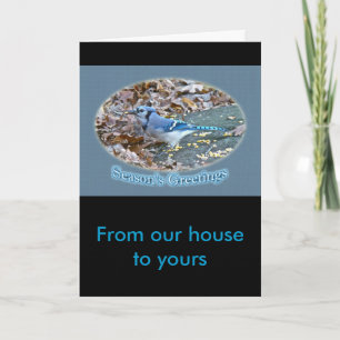 Blue Jay Season's Greetings Series Feestdagen Kaart