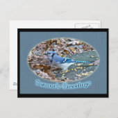 Blue Jay Season's Greetings Series Feestdagenkaart (Voorkant / Achterkant)