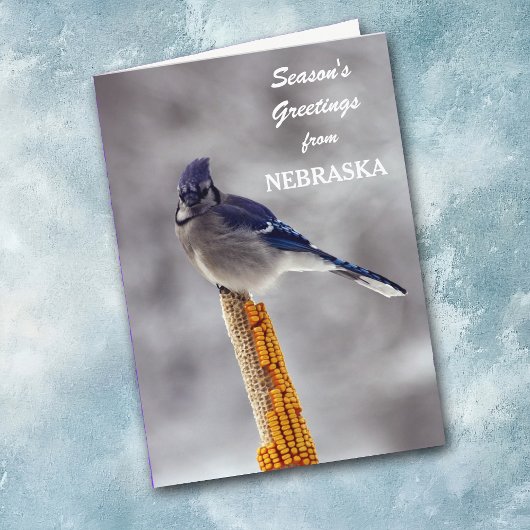 Blue Jay Season's Groeten uit Nebraska Feestdagen Kaart