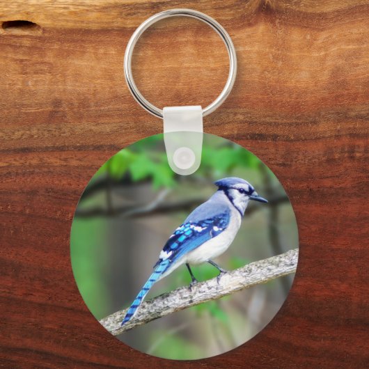 Blue Jay Sleutelhanger (Voorkant)