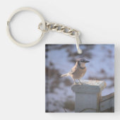 Blue Jay Sleutelhanger (voorkant)