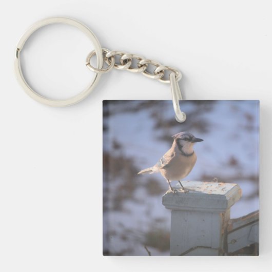 Blue Jay Sleutelhanger (voorkant)