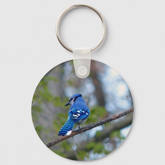 Blue Jay Sleutelhanger (Voorkant)