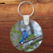 Blue Jay Sleutelhanger (Voorkant)