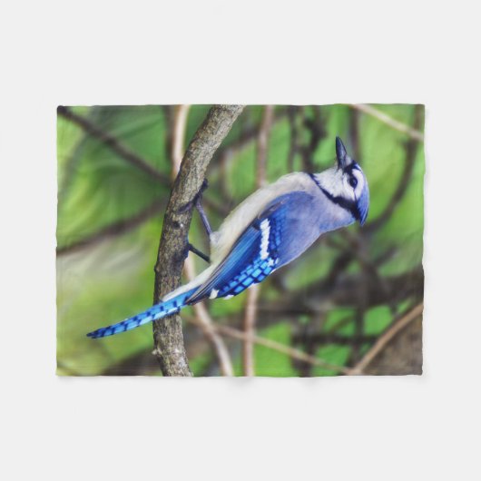 Blue Jay Small Fleece Blanket Deken (Voorkant (Horizontaal))