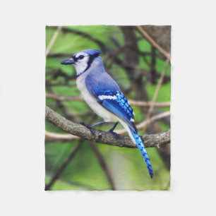 Blue Jay Small Fleece Blanket Deken