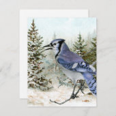 Blue Jay Snow Forest Kerstmis Holiday Bird Natuur Feestdagenkaart (Voorkant / Achterkant)
