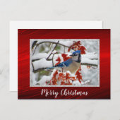  Blue Jay Snow Foto Kerst Briefkaart (Voorkant / Achterkant)