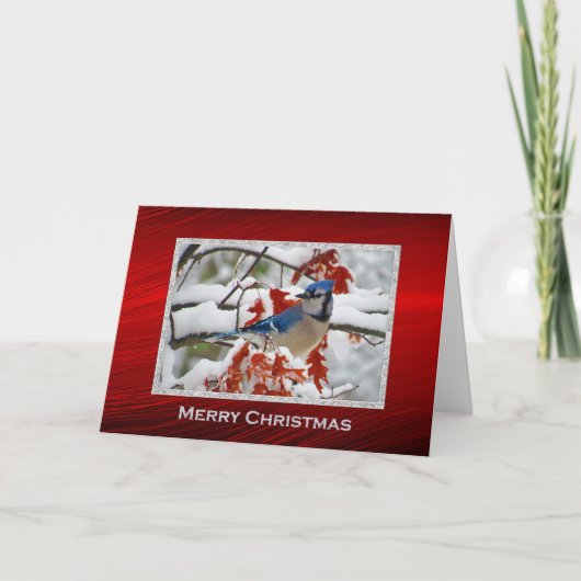  Blue Jay Snow Foto Kerstmis Feestdagen Kaart (Voorkant)