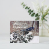 blue jay snow, vrolijk, kerst - Gepersonaliseerd p Feestdagenkaart (Staand voorkant)
