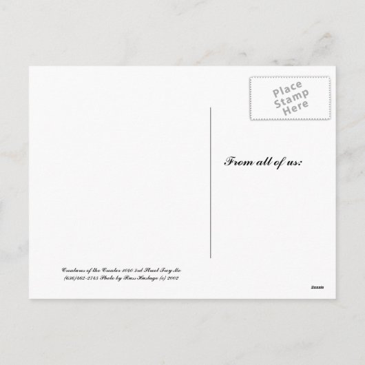 blue jay snow, vrolijk, kerst - Gepersonaliseerd p Feestdagenkaart (Achterkant)